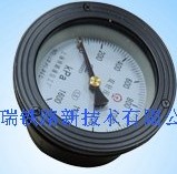 Double needle pressure gauge yyd3-100z