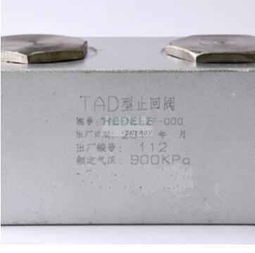 TAD outlet check valve
