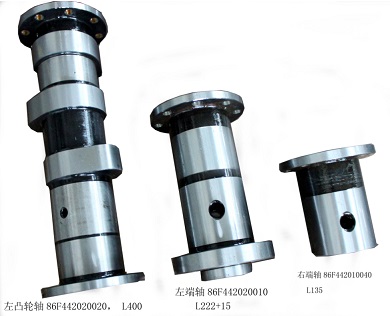 86F442020020, L400 left camshaft