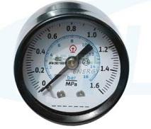 Y40Z single needle pressure gauge - external buckle