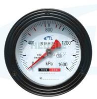 YS-100Z double needle pressure gauge-1600KPa