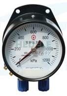 YCS100-II double needle pressure gauge