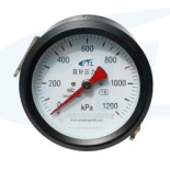 YZS-102Z double needle pressure gauge