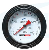 YS-100Z double needle pressure gauge-1600KPa