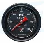 YCS100-IV double needle pressure gauge MR/BP