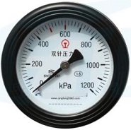 YCS100-III double needle pressure gauge