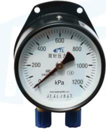 YCS100 double needle pressure gauge