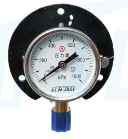 Y60T single needle pressure gauge