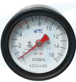 YTS-80Z double needle pressure gauge
