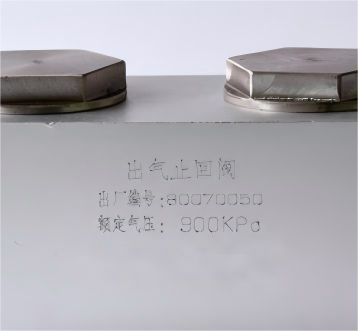 Exhaust check valve  JKG1-04-000A